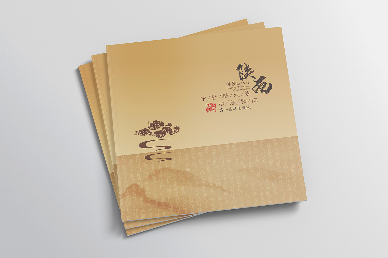 醫(yī)院畫冊設計